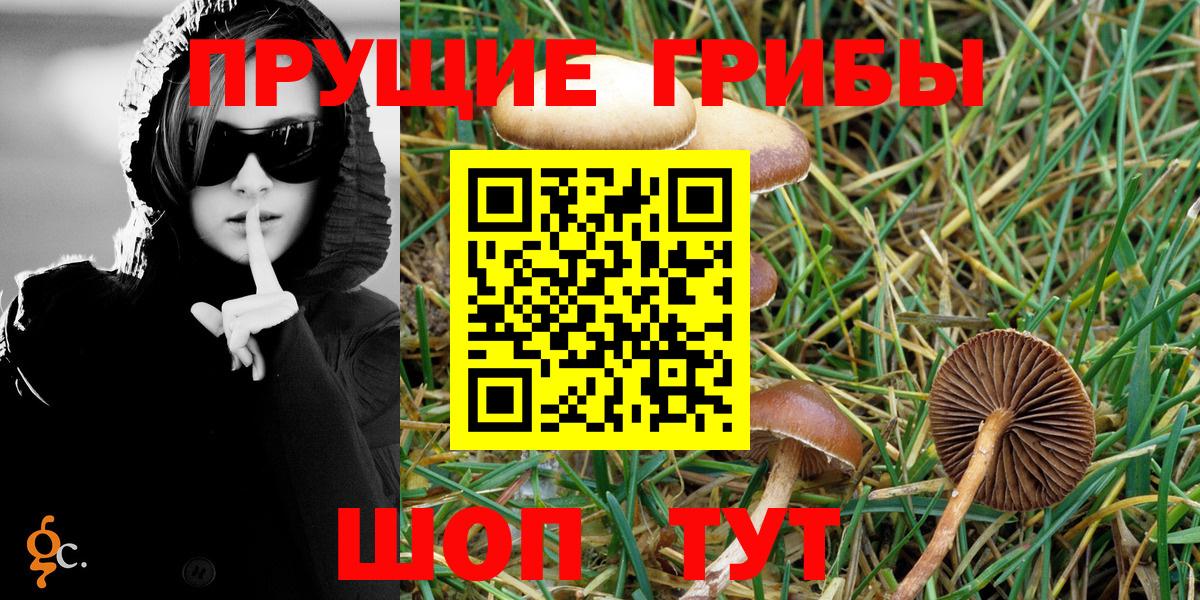 Псилоцибиновые грибы Magic Shrooms  Псилоцибиновые грибы мицелий  Вход с VPN  цены   Нижний Новгород 